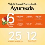 Kapiva Meal Replacement Slim Shake Mango 150g for smooth digestions - Image 4