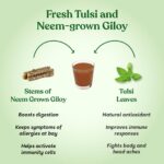 Kapiva Tulsi Giloy Juice 1 L FOR headaches, cough, cold, lowers blood sugar level, improves vision - Image 6
