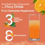 Kapiva Warrior Fizz 11-In-1 Immunity Supplement Natural Orange Flavour Effervescent Powder 100 gm for maintaining the immune system - Image 3