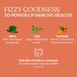 Kapiva Warrior Fizz 11-In-1 Immunity Supplement Natural Orange Flavour Effervescent Powder 100 gm for maintaining the immune system - Image 5