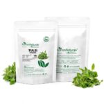 Kerala Naturals Organic Tulsi Powder (100g) For High temperature, Respiratory problems, Cough, Cold and Sore throat - Image 3