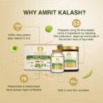 Maharishi Ayurveda Amrit Kalash (60 Tablets) For Immunity, Stress And Anxiety - Image 6