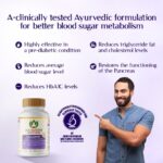 Maharishi Ayurveda Glucomap (60 tablets) For Diabetes Management, Blood Sugar Levels - Image 2
