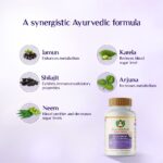 Maharishi Ayurveda Glucomap (60 tablets) For Diabetes Management, Blood Sugar Levels - Image 6