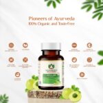 Maharishi Ayurveda Organic Amalaki Tablet (60 Tablets) For overall well-being, immunity, strength - Image 4