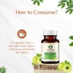 Maharishi Ayurveda Organic Amalaki Tablet (60 Tablets) For overall well-being, immunity, strength - Image 5