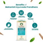 Maharishi Ayurveda Prandhara Drop 3 ml For cold, headache and nasal congestion, , stomach ache and vomiting - Image 3