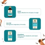 Maharishi Ayurveda Respiratory Relief Therapy Kit | Kasni (100Ml), Asthomap (60 Tab), Prandhara (3Ml), Anu Tail (10Ml) Combo - Image 2
