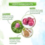 Mamaearth Anti Hair Fall Spa Range with Onion Hair Oil + Onion Shampoo + Onion Conditioner for Hair Fall Control - Image 3