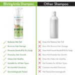 Mamaearth BhringAmla Shampoo for dry & frizzy hair with Bhringraj & Amla 250 ml - Image 4