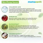 Mamaearth Skin Plump Face Serum Anti Aging Cream For Glowing Skin, With Hyaluronic Acid & Rosehip Oil for Ageless Skin - 30ml - Image 5
