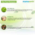 Mamaearth Tea Tree Anti Dandruff Shampoo, With Tea Tree & Ginger Oil, 250ml - Image 5