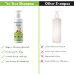 Mamaearth Tea Tree Anti Dandruff Shampoo, With Tea Tree & Ginger Oil, 250ml - Image 4