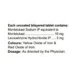 Montecip LC Tablet - 10 Tablets for Allergic skin conditions - Image 3