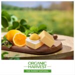 Organic Harvest Lemon Flavour Lip Balm 10 gm For Women Dark Lips to Lighten | Kids/ Girls Lip Care for Dry and Chapped Lips - Image 4