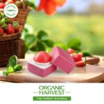 Organic Harvest Lily Flavour Lip Balm - 10 gm For Women Dark Lips to Lighten, Dry and Chapped Lips - Image 4