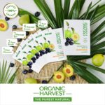 Organic Harvest Vitamin C Facial Kit - 50gm (Pack of 5 Sachets) For Women, Glowing Skin - Image 4
