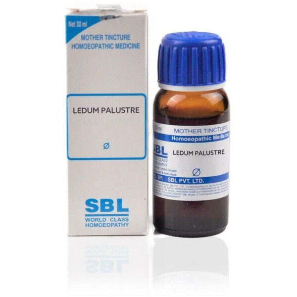 SBL Ledum Palustre Mother Tincture (Q) 30ml for itching joint pain swelling gout