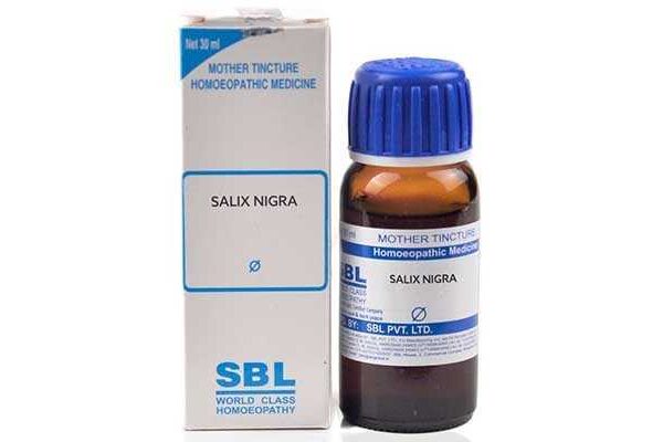 SBL Salix Nigra Mother Tincture Q, Difficult menses, Premature Ejaculation for hair fall skin care