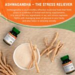 Sunova Anti-Stress Capsules 60 Veg. Capsules For stress, anxiety, mental fatigue - Image 4