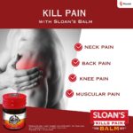 Sloans Balm for Pain - 20gm with 5 Herbal Oils For aches and pains, muscle cramps, arthritis, headache - Image 3