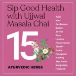 Ujjwal Masala Chai All-Season Wellness Tea 150 Gms for stress, blood purifying - Image 5