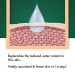 Baidyanath Vansaar Dryness Relief Hydrating Lotion – 200ml For water retention, Intense dryness relief - Image 3