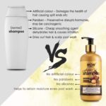 WOW Skin Science Moroccan Argan Oil Shampoo (with DHT Blocker) - No Sulphates, Parabens, Silicones, Salt & Colour - 300 ml - Image 6