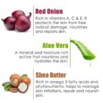 WOW Skin Science Red Onion Face Cream - Oil Free, Quick Absorbing - For All Skin Types - No Parabens, Silicones, Color, Mineral Oil & Synthetic Fragrance - 50 ml - Image 5