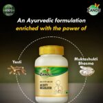 Zandu Amlapitta Har Vati, (60 Tablets) For Acidity, stomach burn, throat and chest burn, stomach burn, throat and chest burn - Image 4