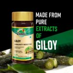 Zandu Giloy Capsules (Guduchi) 60 Veg Capsules For Immunity, Health and Wellness, Stress Relief - Image 2