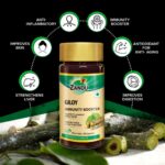 Zandu Giloy Capsules (Guduchi) 60 Veg Capsules For Immunity, Health and Wellness, Stress Relief - Image 3
