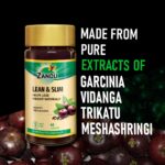Zandu Lean & Slim Metabolism 60 Veg Capsules For Weight Loss, Metabolism, Weight Management - Image 2