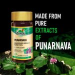 Zandu Punarnava 60 Veg Capsules For Gut Health and Healthy Appetite, Heart and Urinary Health - Image 2