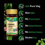 Zandu Punarnava 60 Veg Capsules For Gut Health and Healthy Appetite, Heart and Urinary Health - Image 4