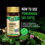 Zandu Punarnava 60 Veg Capsules For Gut Health and Healthy Appetite, Heart and Urinary Health - Image 5