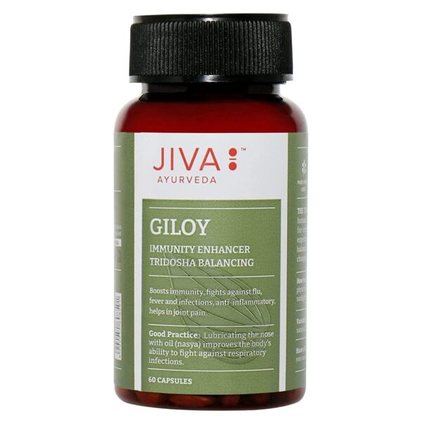 Jiva Ayurveda Giloy (60 capsule) For immunity, respiratory problems, cough, cold, tonsils and asthmatic condition