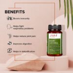 Jiva Ayurveda Giloy (60 capsule) For immunity, respiratory problems, cough, cold, tonsils and asthmatic condition - Image 3