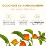 Kapiva Ashwagandha Anti-Aging Face Oil (30ml) for Wrinkles & Fine Lines - Image 6