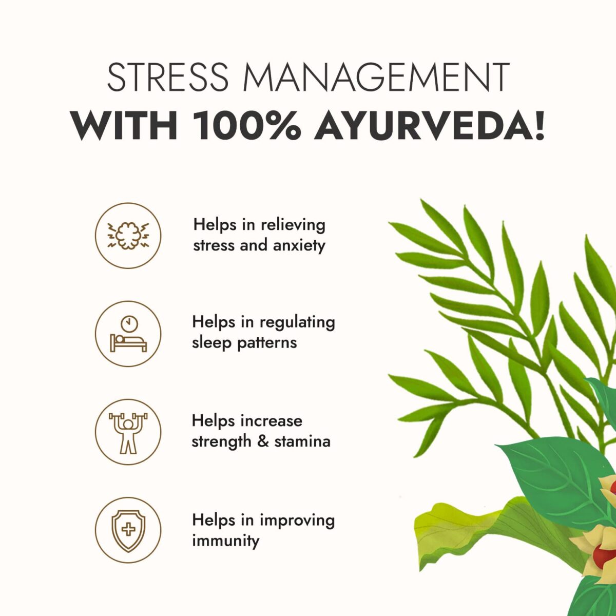 Kapiva 100% Natural Dia Free Capsules - Helps Maintain Sugar Level - 60 Count - Image 2