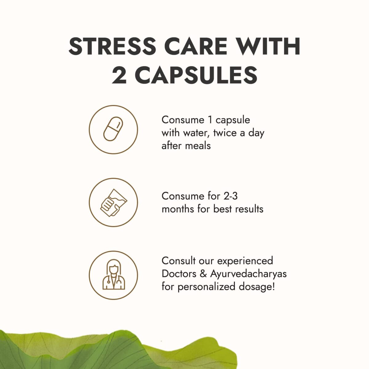 Kapiva 100% Natural Dia Free Capsules - Helps Maintain Sugar Level - 60 Count - Image 7