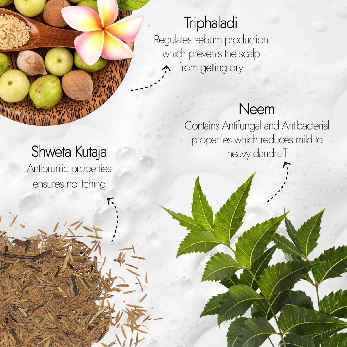 Kapiva Dandruff Control Neem Triphaladi Shampoo 250ml for Helps to reduce mild to heavy dandruff - Image 3