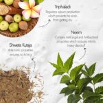 Kapiva Dandruff Control Neem Triphaladi Shampoo 250ml for Helps to reduce mild to heavy dandruff - Image 3