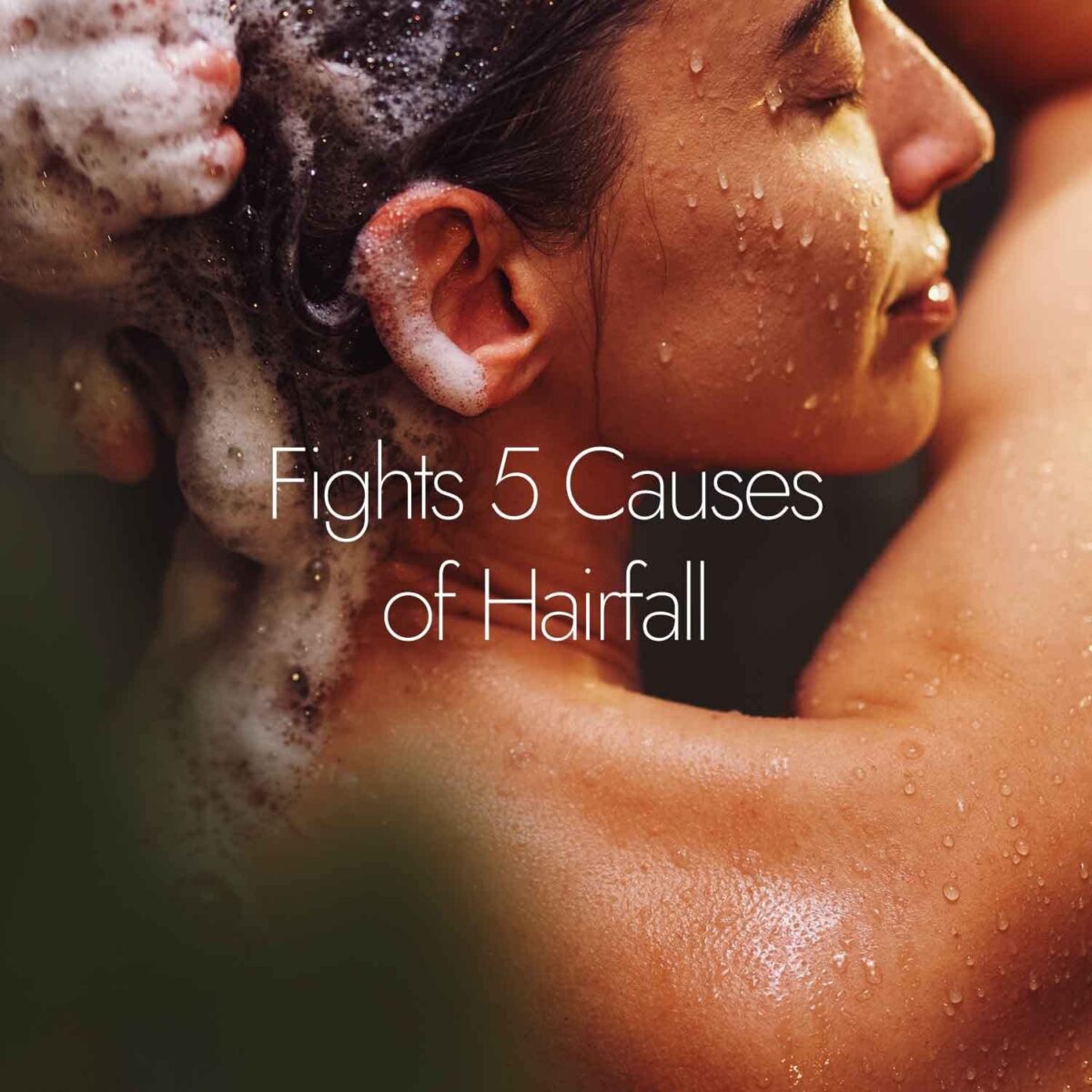 Kapiva Tulsi Anti Hairfall Shampoo 250ml for Controls Hair fall - Image 3