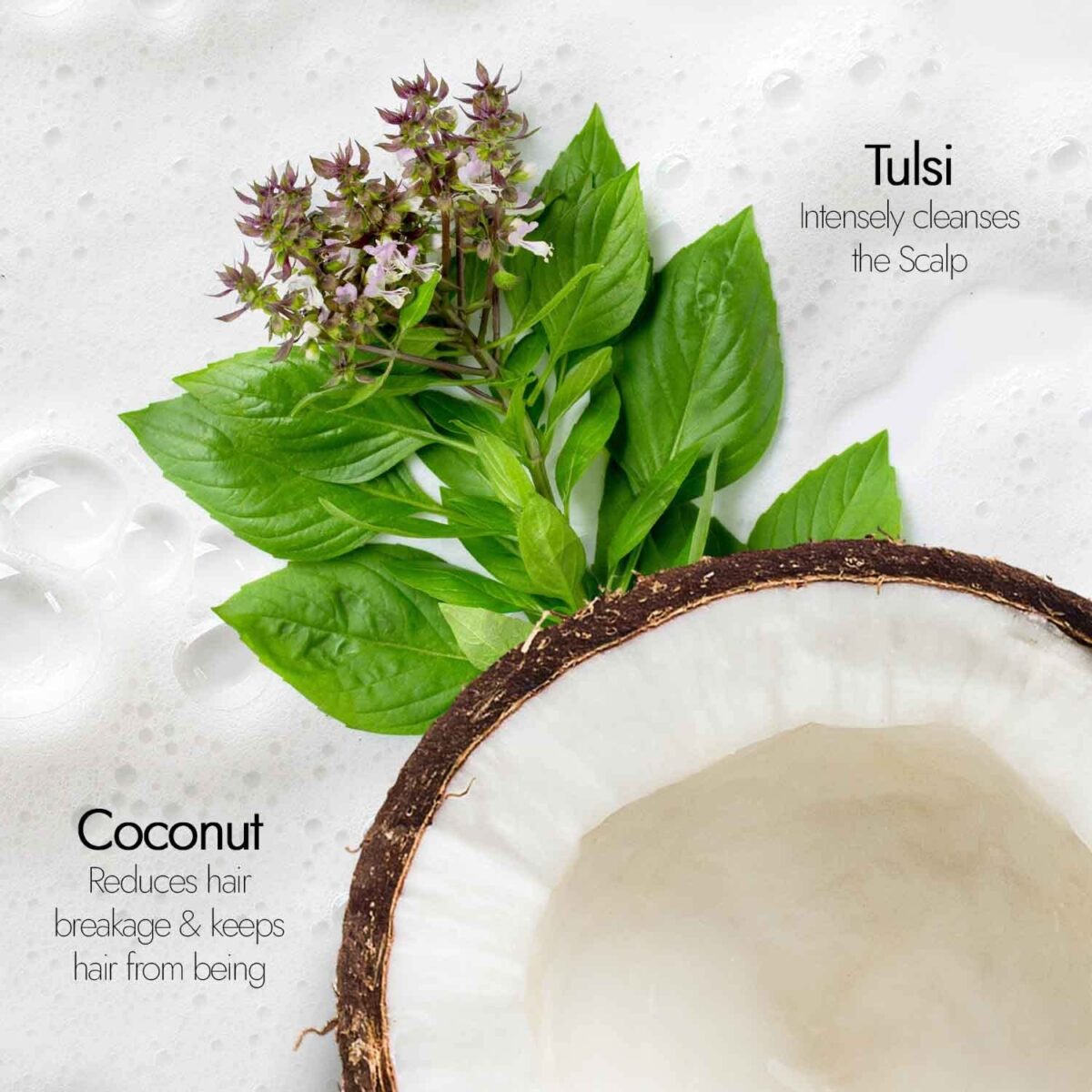 Kapiva Tulsi Anti Hairfall Shampoo 250ml for Controls Hair fall - Image 6