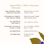 Kapiva Wild Amla Juice 1L for Hair Care Improves the immune system - Image 5
