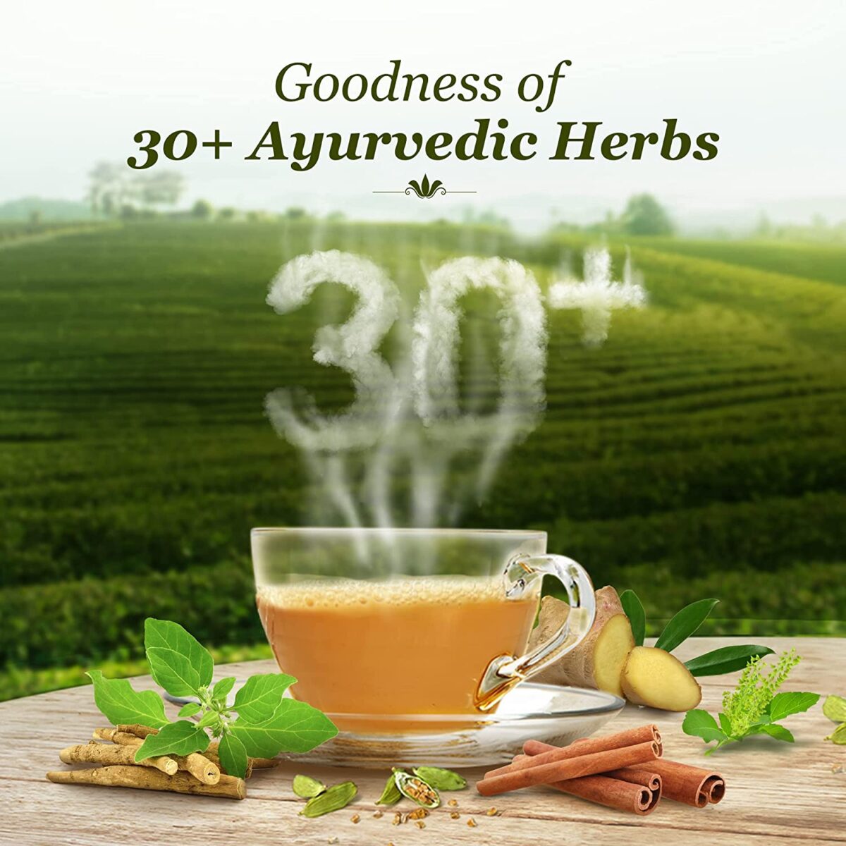 Dabur Vedic Tea | Premium Tea with 30+ Ayurvedic Herbs | Black Tea 500g - Image 3