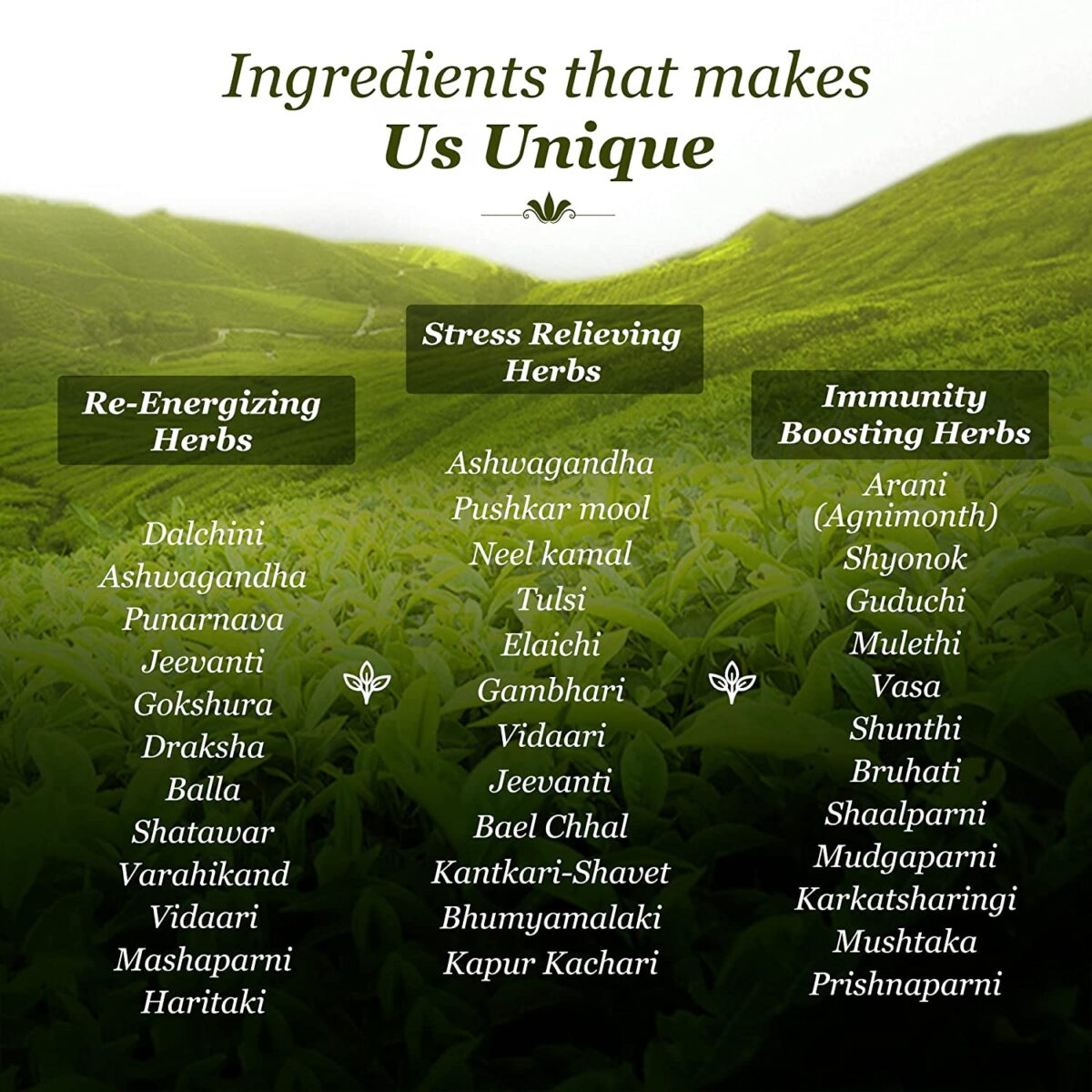 Dabur Vedic Tea | Premium Tea with 30+ Ayurvedic Herbs | Black Tea 500g - Image 6