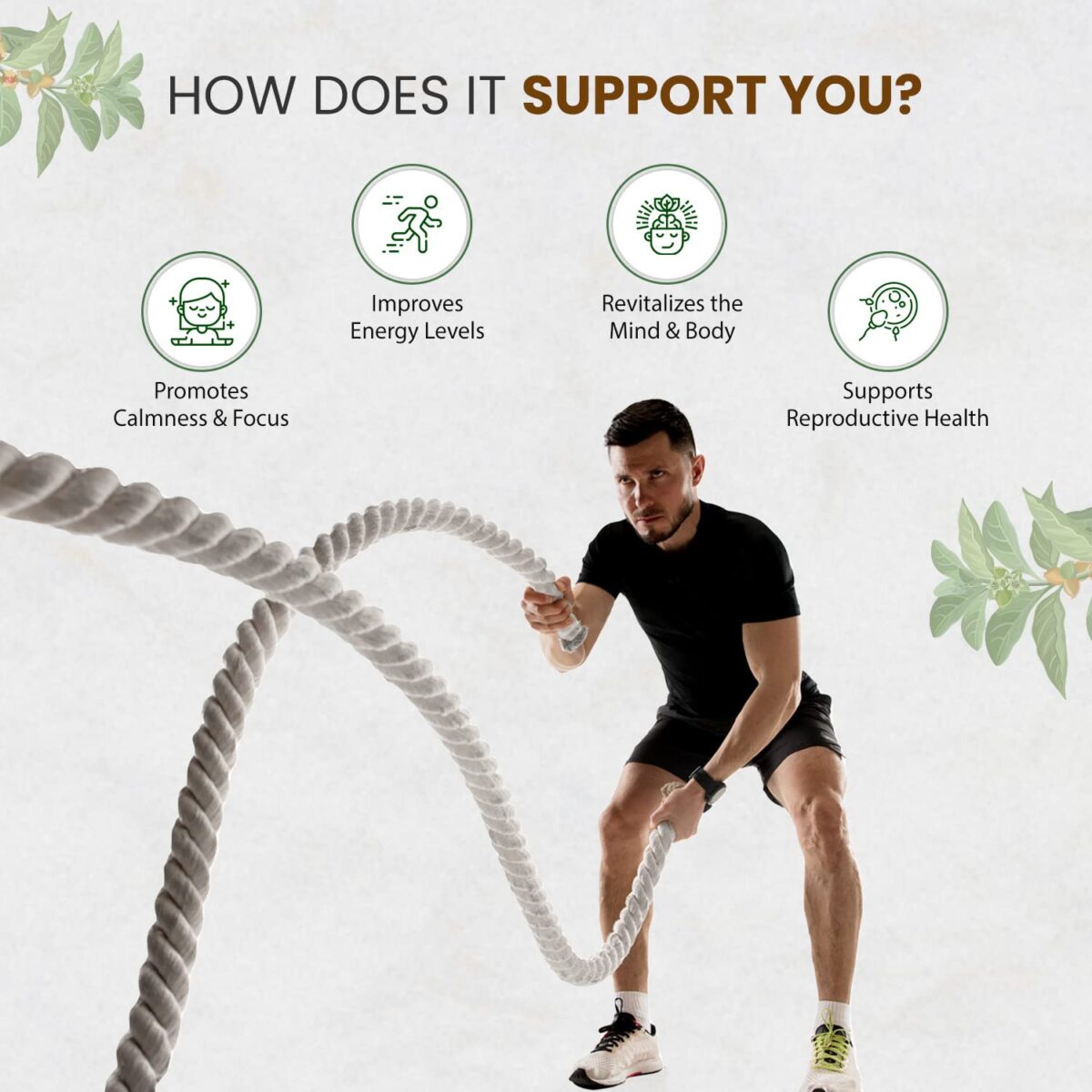 Himalayan Organics Certified Orgnaic Ashwagandha Powder With Withania Somnifera Supplement | Energy and Immunity Booster | Helps Anxiety & Stress Relief - 250 Gm - Image 4