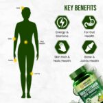 Himalayan Organics Multivitamin with Probiotics - 45 Ingredients for Men And Women with Vitamin C, D, E, B3, B12, Zinc, Giloy And Biotin (180 Tablets) - Image 4